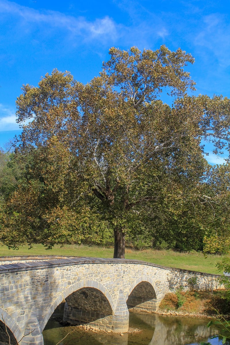 Historical Events Witness